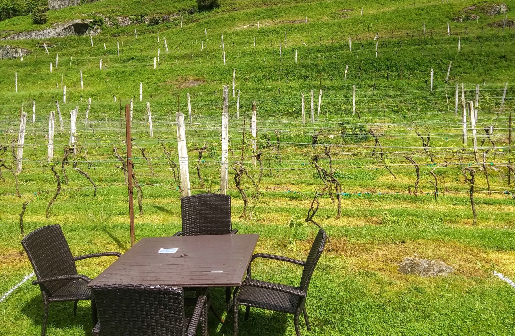 High Country wineries